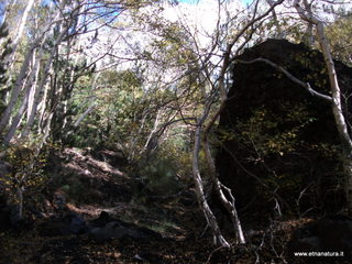 nte Corvo-01-11-2012 11-30-19